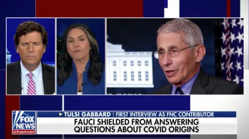 Tulsi calls out the White House and Fauci’s COVID misinformation that puts the American people at risk