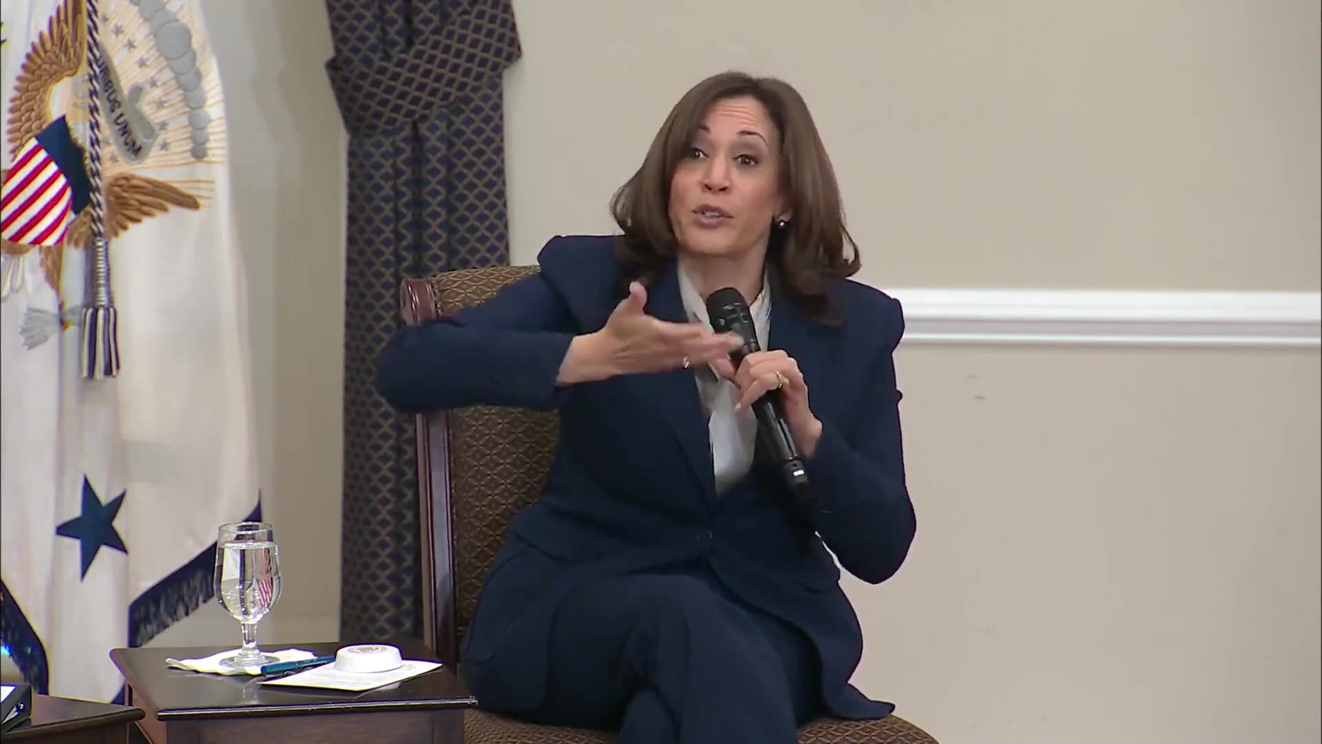 Kamala Harris is pouring herself with Venn diagrams again, if only America was that big [VIDEO]