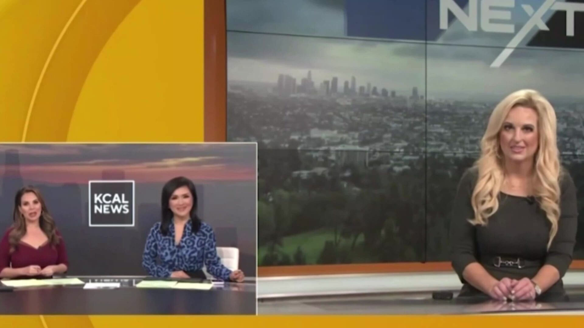 LA Weatherwoman’s eyes roll back as she suddenly collapses on live TV